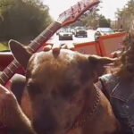 Mastodon & MonstrO Members Team Up For Retro Ad From Orange Amplification