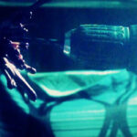 Whitechapel Explore Self-Trepanation And Home Dentistry In NSFW "Let Me Burn" Video