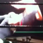 Watch Every Time I Die's Andy Williams Powerbomb A Wrestler Through A Table