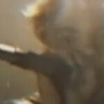 Stray From The Path Rage Against Big Pharma With Lo-Fi "Outbreak" Video