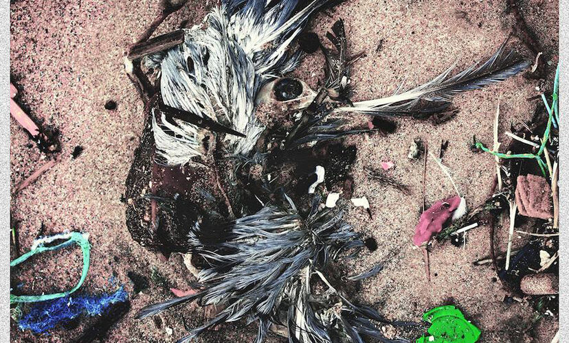 Stray From The Path Tap Architects & Enter Shikari Members For New Album "Subliminal Criminals"