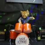 Dark Heavens (dredg) Prove That Cats Want To Rock With "Lips Of Leather" Video