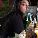 Fuck The Facts' "Everywhere Yet Nowhere" Music Video Is A Meme Meltdown