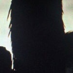 Iggy Pop & Queens Of The Stone Age's Josh Homme Have Secretly Made An Album Together (Updated)