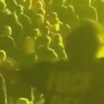 Witness A Fan Wholly Enthralled By Tool At Recent Houston, TX Show
