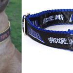 Hardcore Dog/Cat Collars Now Available