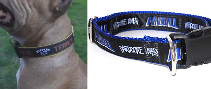 Hardcore Dog/Cat Collars Now Available