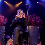 The Used Release "The Bird And The Worm" Video From Upcoming Live Release