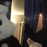 Tool Members Jam With Primus, Harass 3Teeth While Dressed As Bunnies