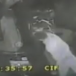 Nero di Marte To Miss Glasgow Show After Man Punches Out Tour Bus Window