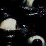 Black Cobra Debut "Eye Among The Blind" Video