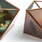 Between The Buried And Me To Release A Terrarium