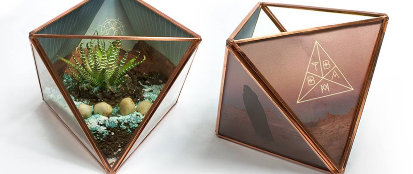 Between The Buried And Me To Release A Terrarium