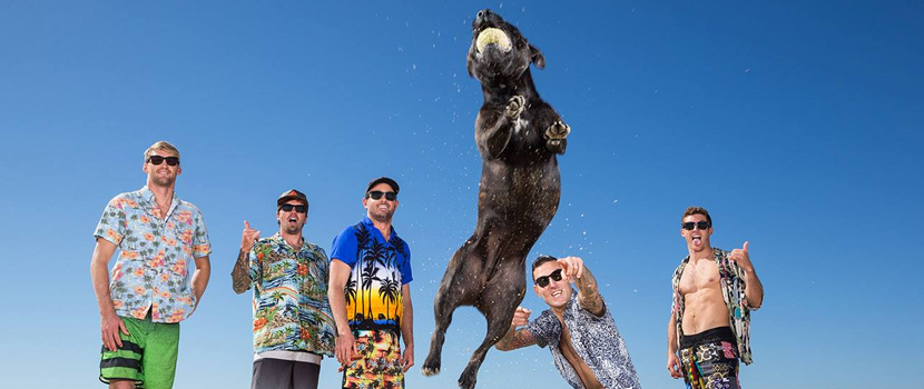 Parkway Drive's "Ire" Goes Gold In Australia