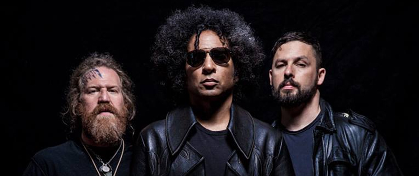 Watch Giraffe Tongue Orchestra Perform Debut "All We Have Is Now" Acoustically