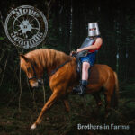 Steve'N'Seagulls To Cover Metallica, Guns N' Roses, Etc. On "Brothers In Farms"