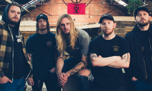 whileshesleeps-500x300.jpg