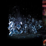 Alternative Press Reveal Their Choices For Best Albums & Songs Of 2016