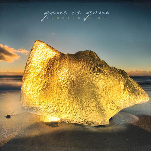 Gone Is Gone - Echolocation
