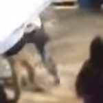 Watch A Crowd Killer Bring A Mattress To The Mosh