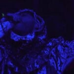 John Frum (The Dillinger Escape Plan, Etc.) Filming New Music Video