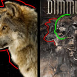 Blog Calls Out Various Metal Album Cover Artists For Alleged Plagiarism
