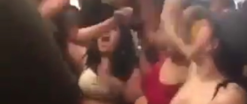 Watch These Ladies Hold Down The Pit At A Hardcore Show
