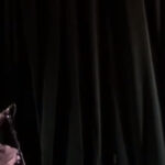 Footage Of Mike Patton's Recent Live Show With John Zorn Available