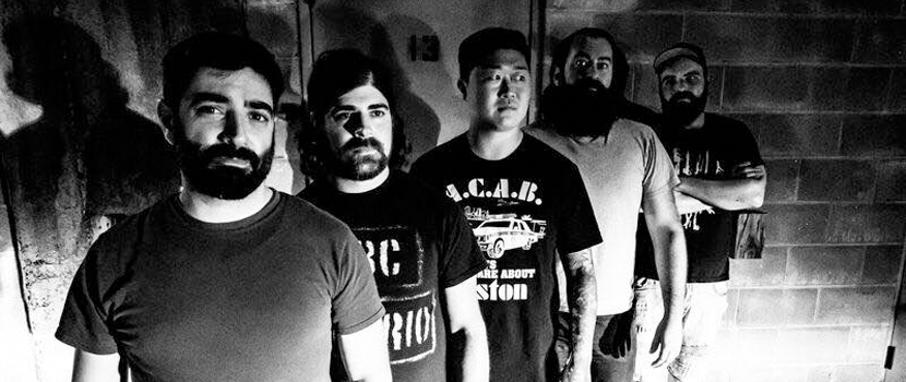 Hivesmasher Reunite, Reunion Show Booked