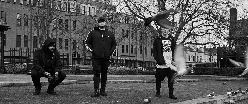 King 810 Release "Killem All" Live Video