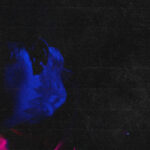 DayShell Premiere "Pressure" Music Video