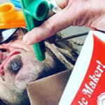 Lamb Of God's Randy Blythe Plans To Counter Upcoming Westboro Baptist Church Protest With 100 Kazoos