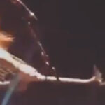 Watch Phil Demmel Nearly Accidentally Scalp A Stagediving Fan With His Guitar At Los Angeles Vio-lence Show