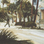 Saudade (Crosses, Deftones, Bad Brains, Etc.) Sign With Sargent House, Debut "Crisis"