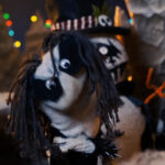 Immortal Sock Puppet Parody Returns With 'Frostbite The Snowman'