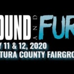 2020 'Sound And Fury Festival' Cancelled Amid COVID-19 Concerns
