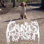 Century Media Reveal Their Recent 'Signing' Is A Prank Band Featuring Dogs On Vocals