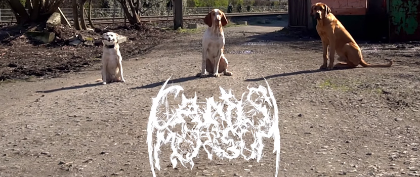 Century Media Reveal Their Recent 'Signing' Is A Prank Band Featuring Dogs On Vocals