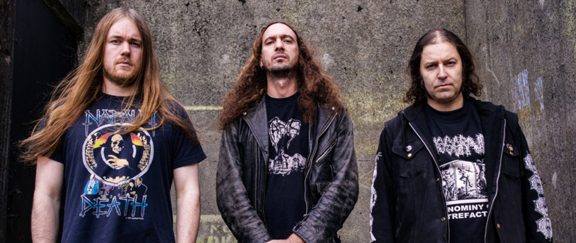 Necrot Streaming Re-Recorded Version Of "Into The Labyrinth"