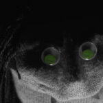 Sock Puppet Parody Take On Type O Negative's "Black No. 1"