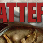 Cat-Fronted Metal Band Cattera Release Debut Single "Hunger Of The Beast"