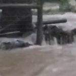 Suicidal Tendencies/Ex-The Dillinger Escape Plan Guitarist Ben Weinman's NJ Animal Rescue Hit By Flooding & Extreme Weather