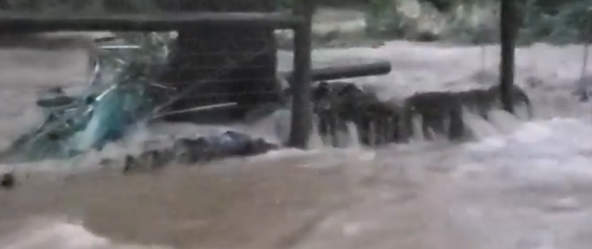 Suicidal Tendencies/Ex-The Dillinger Escape Plan Guitarist Ben Weinman's NJ Animal Rescue Hit By Flooding & Extreme Weather