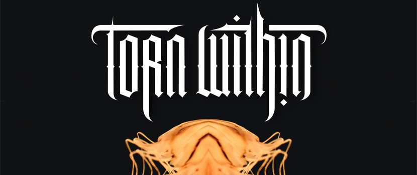 Hear Ex-Suicide Silence Members Team Up In Torn Within
