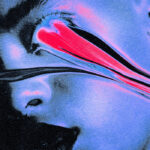 Willow Proclaims Her Love For Primus In New Video, Les Claypool Responds