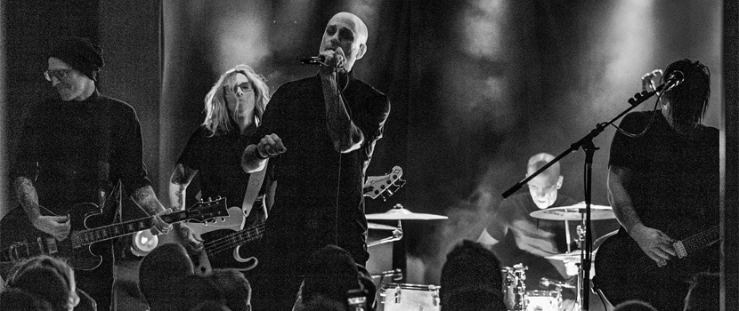 Cold Announce "Year Of The Spider" 20th Anniversary U.S. Tour