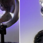 Here's What Tool's Upcoming "10,000 Days"-Inspired 'Fetus In Skull' Statue Looks Like