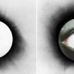 Fans Accuse Gemini Syndrome Of Ripping Off Architects' "All Our Gods Have Abandoned Us" Cover Art