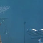 Turnstile Were Recently Joined Onstage By Julien Baker For "Underwater Boi"