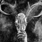 Wolves In The Throne Room, Gaerea & Mortiferum Set For European/UK Tour